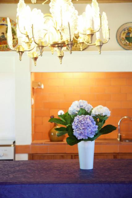 Aldeia Cagarras Country house Santo Amaro (Azores)
