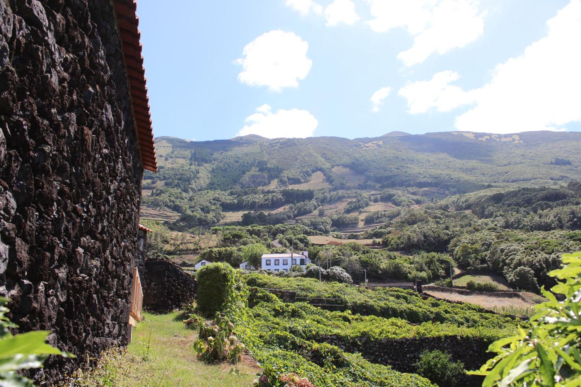 Aldeia Cagarras Landhuis *